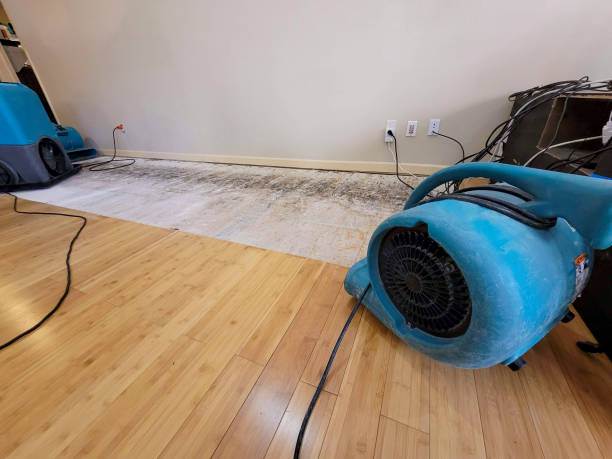 Professional Basement Flood Cleanup technician working in Pursglove, WV